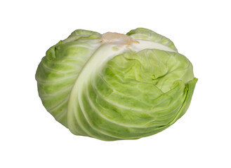 fresh green cabbage isolated on transparent background
