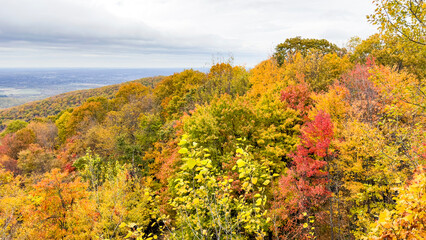 Fototapeta premium Scenic Autumn Hillside with Vibrant Foliage and Distant Valley View