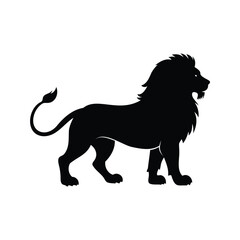 Strong black silhouette of a majestic lion standing on a white background, male lion protecting pride silhouette vector illustration