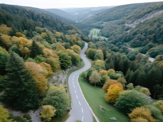 Cinematic Drone Shot Captures Winding Asphalt Road Through a Lush Green Forest Valley in Autumn with Vibrant Yellow and Orange Foliage Under a Cloudy Sky
