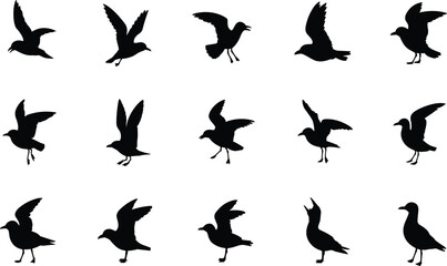 Black Silhouette Vector Set of Flying Seabirds and Gulls in Various Poses, Illustrating Nature, Coastal Wildlife, Freedom, and Avian Animal Concepts.