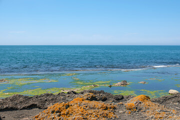 Coastal landscape with blue sea and rocky shore of green algae on the water surface under a clear sky. Representing marine ecosystem, tranquility and natural seaside scenery.