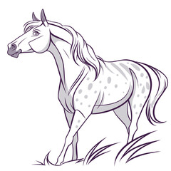 Elegant spotted horse with a flowing mane standing in grass illustrated in a clean line art style