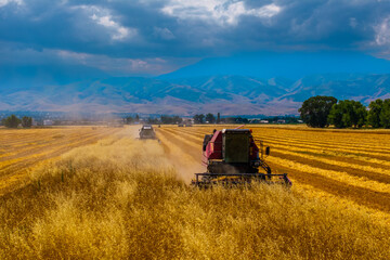 Combine harvesters efficiently gather crops in peaceful rural agricultural field. Majestic mountains provide a serene backdrop under bright daytime sky.