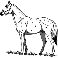 Stylized illustration of a spotted appaloosa horse standing in grass with a bridle and reins