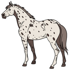 A striking cartoon illustration of a spotted appaloosa horse standing proudly on a white background