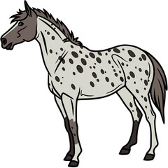 A stylized cartoon illustration of a spotted appaloosa horse standing gracefully on a white background