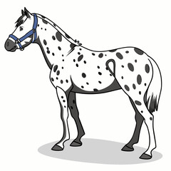 Cartoon appaloosa horse with blue halter standing sideways on white background with shadow