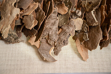 Dry tree bark pieces arranged artistically on a neutral linen surface. Natural tones and rough textures create an earthy decoration, offering copy space for background or design.