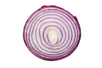 Red onion cross section isolated on a transparent background