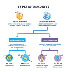 Types of immunity brief diagram comparing innate and adaptive pathways into active and passive, shield, lock, syringe highlight defenses and vaccination concept. Outline diagram
