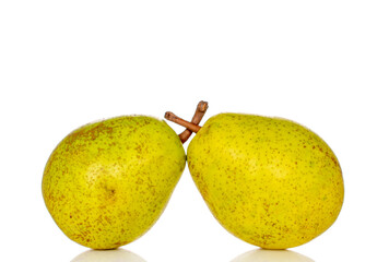 Sweet pear on white background, macro.