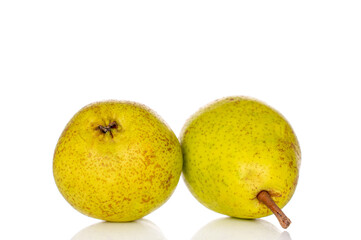 Sweet pear on white background, macro.