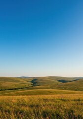 Obraz premium Expansive summer landscape showcasing a vast, sun-drenched range with rolling terrain under a clear blue sky, evoking freedom and warmth ,dry ,nature ,grassland