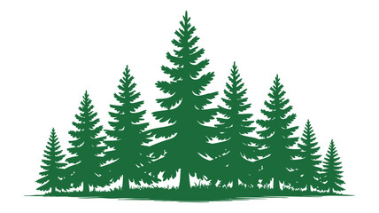 Obraz premium Silhouette of a lush evergreen forest