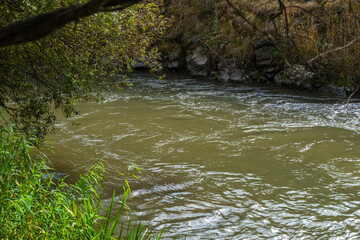 Autumn landmark with trees and Pambak river, Armenia