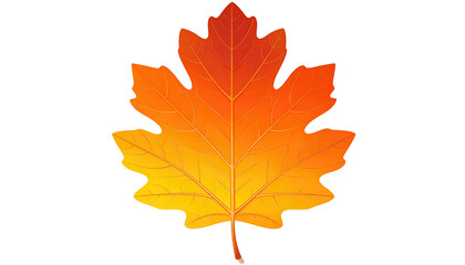 Fototapeta premium Digitally rendered single maple leaf in warm autumn colors isolated on a solid black background