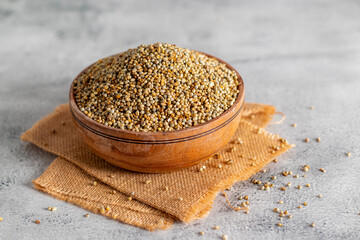 Bajra millet is a gluten-free grain rich in iron, fiber, and protein, supporting heart health, digestion, and sustained energy.
