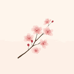 Fototapeta premium Cherry blossom branch with soft pink petals and buds on beige background — delicate minimal floral vector art