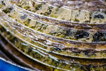 Frantoio, olive, spremitura, olio, penne, abruzzo, Italy, Europe