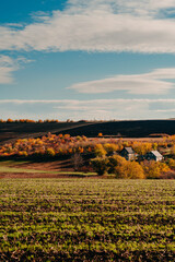 tranquil rural environment emphasizing picturesque homes and abundant natural vegetation