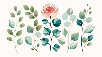 Romantic Watercolor Floral Elements and Eucalyptus Branches on White