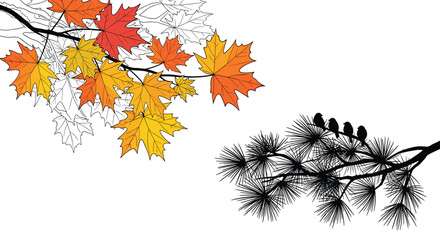 An artistic illustration featuring colorful maple foliage on branches and a stark silhouette of four small birds perched peacefully on a textured pine bough.