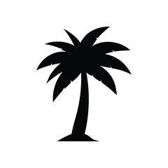 silhouette of palm tree