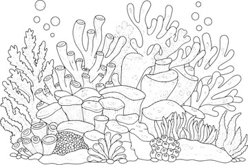Detailed underwater coral reef illustration for coloring or educ