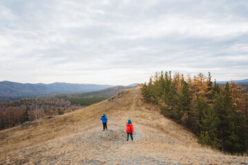 Obraz premium Surveyors examining landscape carefully, Researchers analyze terrain with diligent focus, Field specialists systematically observe flora and topography in natural environment study