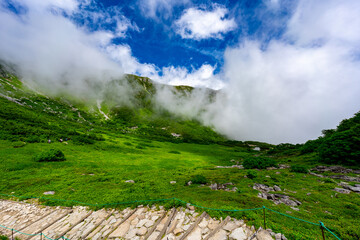 8月の千畳敷カールの風景