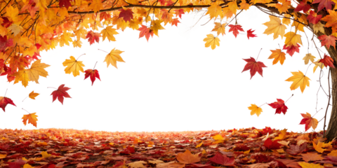 Vibrant autumn leaves fall from branches and scatter on ground, perfectly isolated on a transparent background for easy design use.