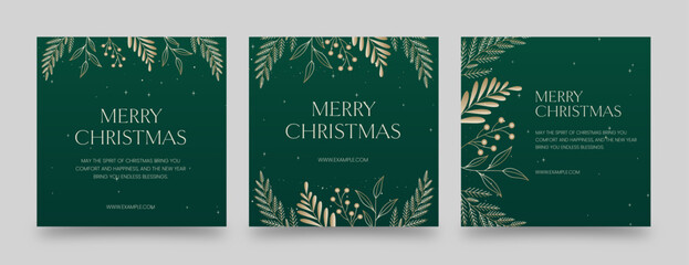 Elegant Christmas Social Media Post Template with Gold Botanical Illustrations on Green Background