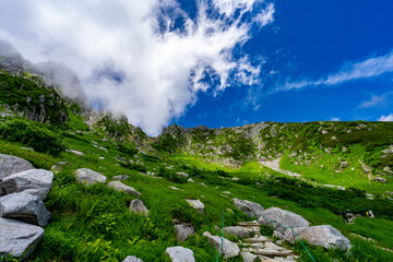 8月の千畳敷カールの風景
