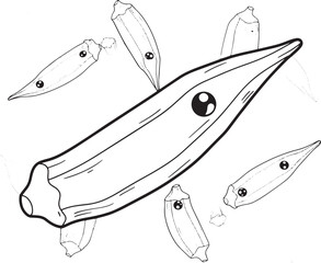 Stylized okra vegetable illustration for coloring books and desi