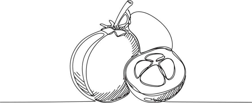 Elegant line drawing of a marang fruit with cross-section detail
