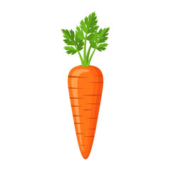 Fresh Carrot Vector Illustration with Green Leaves Isolated on Transparent Background