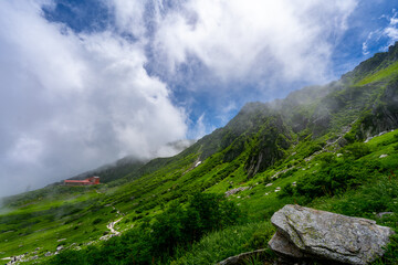 8月の千畳敷カールの風景