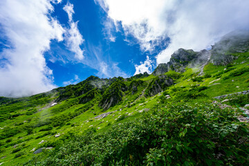 8月の千畳敷カールの風景