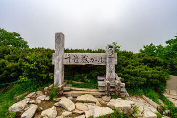 8月の千畳敷カールの風景