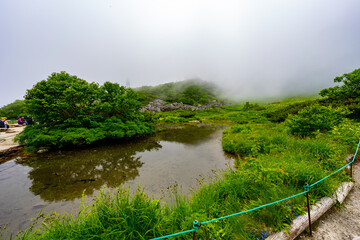 8月の千畳敷カールの風景