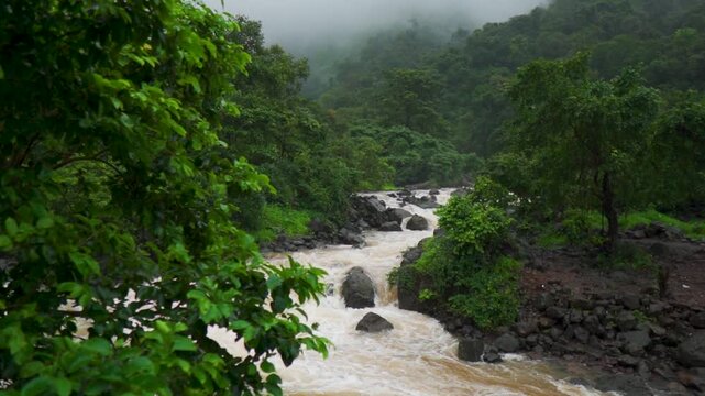 Slow motion shot of a river flowing rapidly in the middle of the Sahyadri Hills during the monsoon season as seen on the way towards Kalu waterfall in Malshej Ghat, Maharashtra, India. River in forest