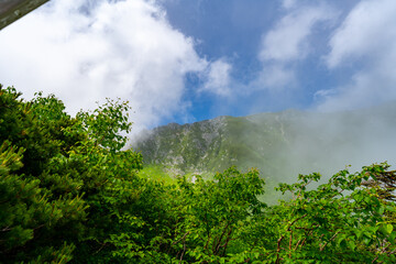 8月の千畳敷カールの風景