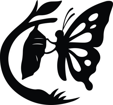 Silhouette Butterfly emerging from chrysalis on branch Vector illustration