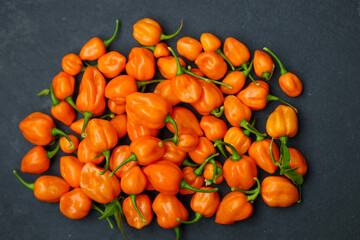 Vibrant and fresh Habanero peppers. The Scoville scale rates these small chili peppers as very hot and spicy. Ideal for making a garden fresh salsa or sauce.