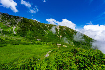 8月の千畳敷カールの風景