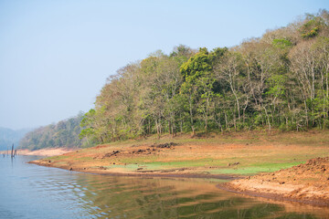 Periyar National Park, lake with forest, fog in morning, Wildlife Sanctuary in India, Idukki and...