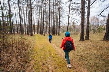 Kids run and play outdoors, Youngsters have fun along forest walk, Youngsters joyfully traverse wooded trails while playing lively games in vibrant clothing during outdoor recreation