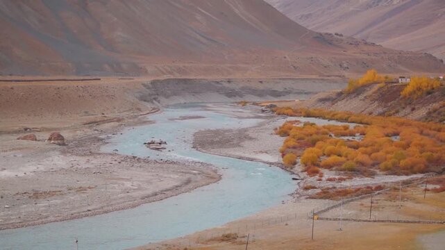 Landscape shot of blue Tsarap Chu river flowing besides the yellow autumn trees during the autumn season in Himalayas as seen from Padum town in November month at Zanskar Valley, Ladakh, India.