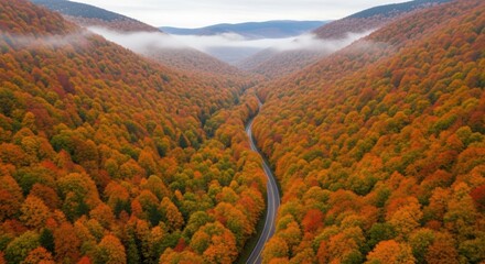Aerial view of a winding road through an autumn forest colorful trees in the mountains scenic landscape
